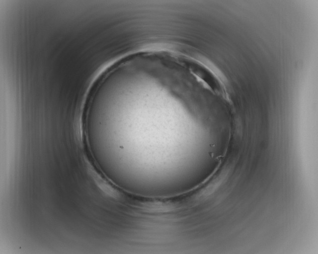 X0000115650980200911171439