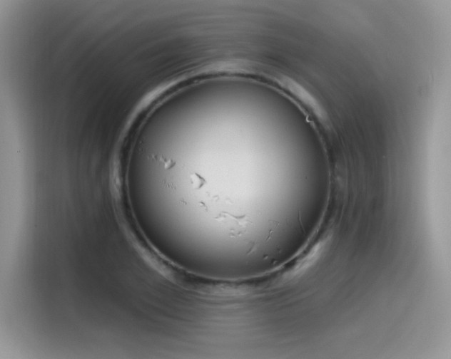 X0000115650981200911171439