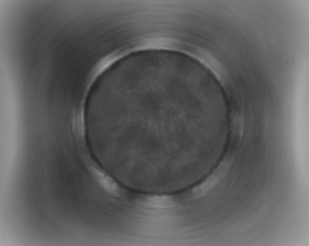 X0000115650982200911171439