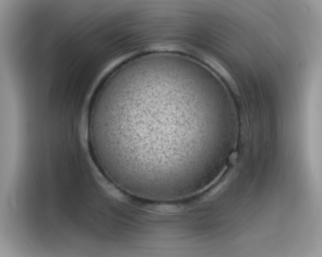 X0000115650984200911171439