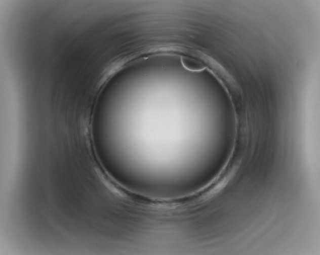 X0000115650985200911171439