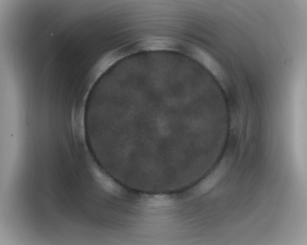 X0000115650986200911171439