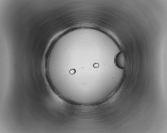 X0000115650987200911171439