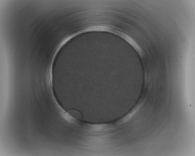 X0000115650988200911171439