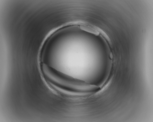 X0000115650989200911171439