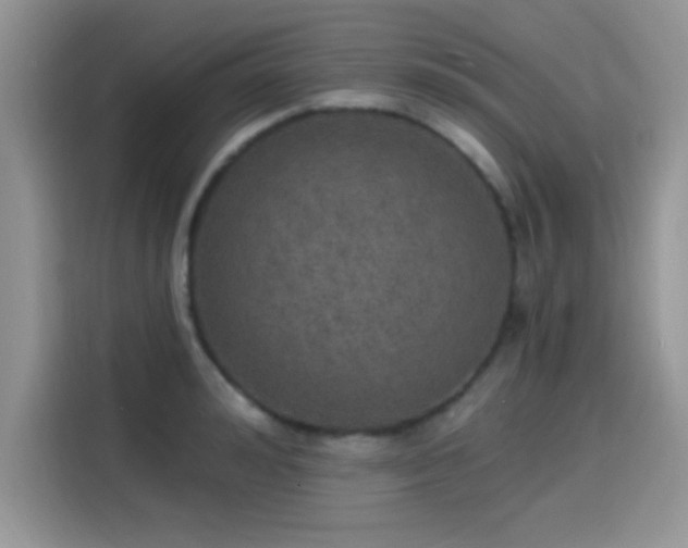 X0000115650992200911171439