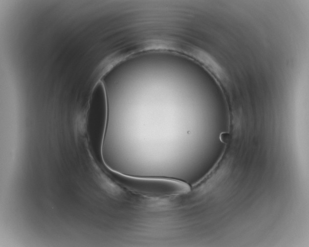 X0000115650993200911171439