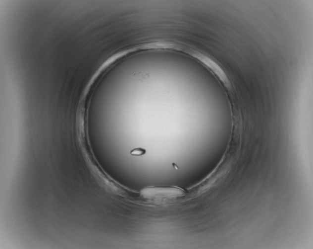 X0000115651000200911171439