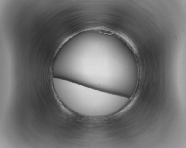 X0000115651001200911171439