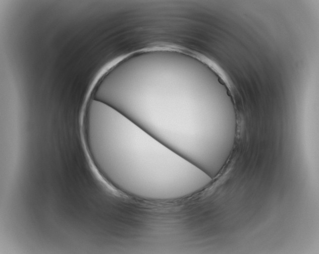 X0000115651003200911171439