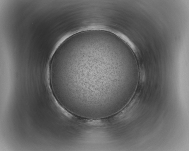 X0000115651006200911171439