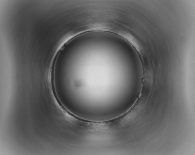 X0000115651007200911171439