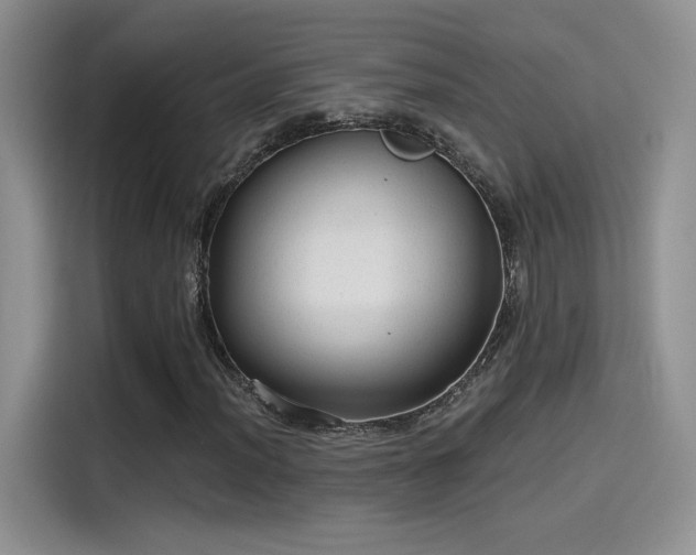 X0000115651012200911171438