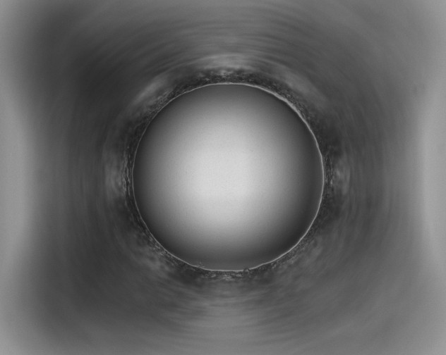 X0000115651014200911171438