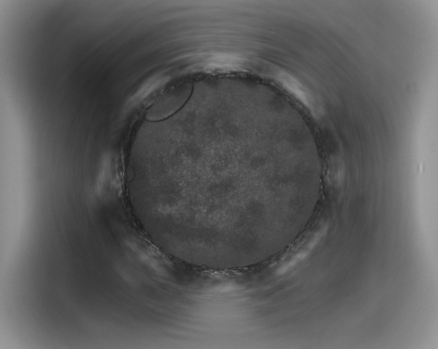 X0000115651015200911171438