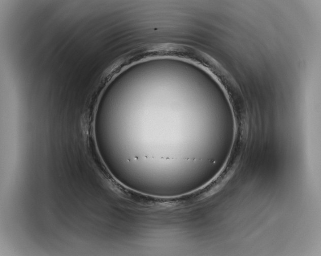 X0000115651017200911171438