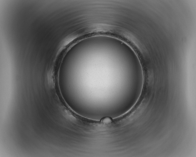 X0000115651018200911171438