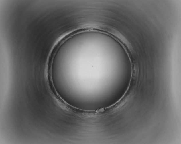 X0000115651020200911171438