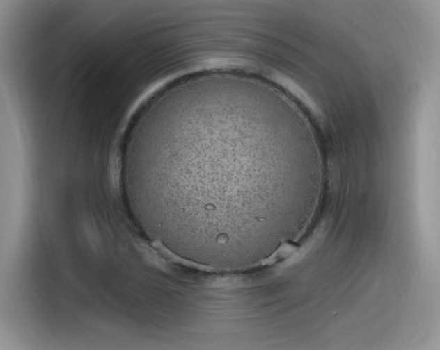 X0000115651021200911171438