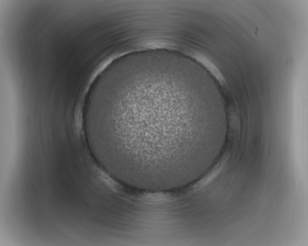 X0000115651023200911171438