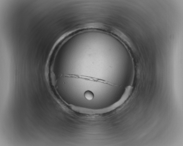 X0000115651024200911171438