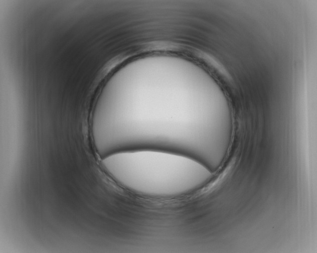 X0000115651025200911171438