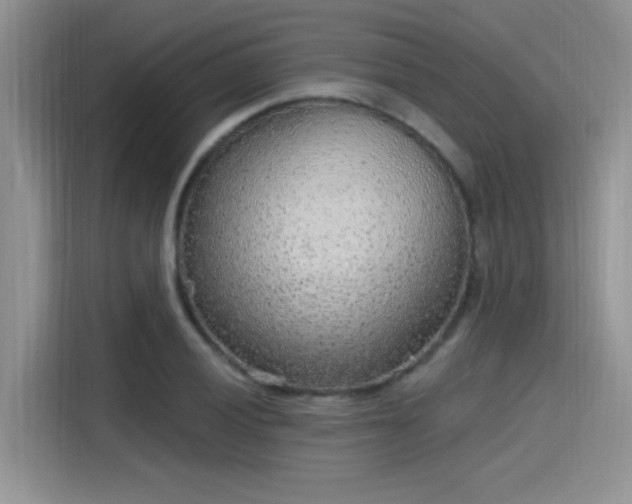 X0000115651028200911171438