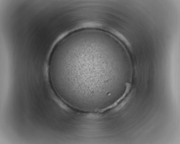 X0000115651029200911171438