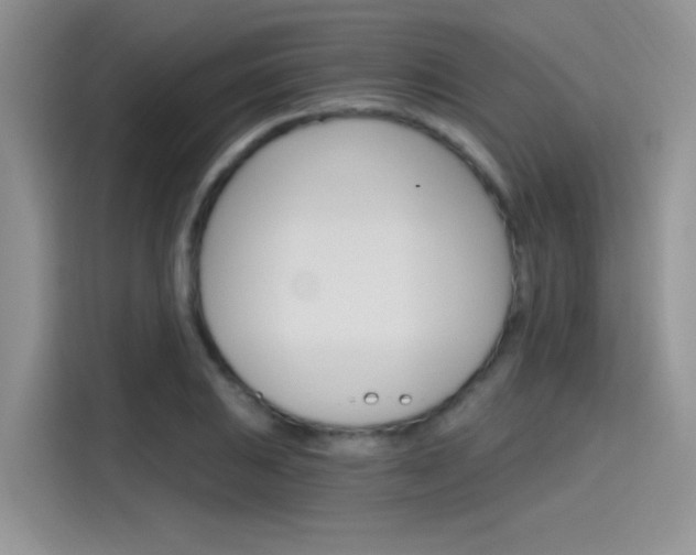 X0000115651031200911171438