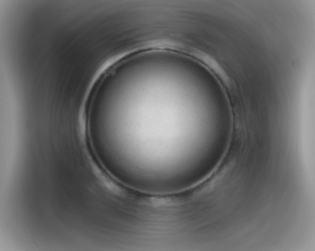 X0000115651032200911171438