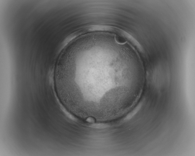 X0000115651033200911171438