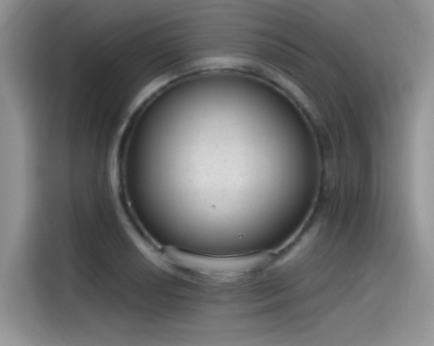 X0000115651034200911171438