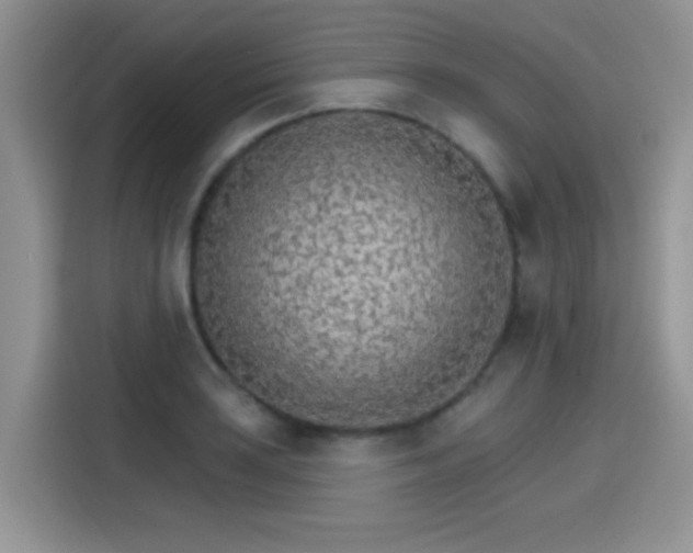 X0000115651035200911171438