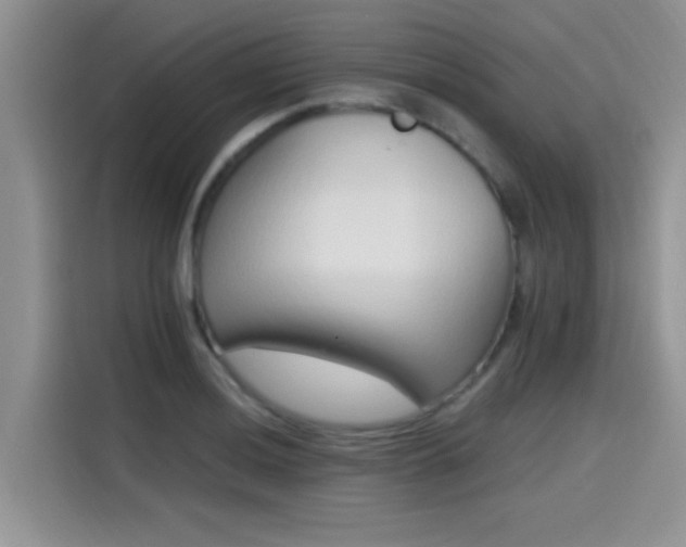 X0000115651036200911171438