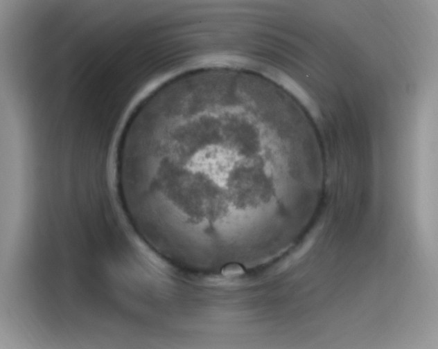 X0000115651037200911171438