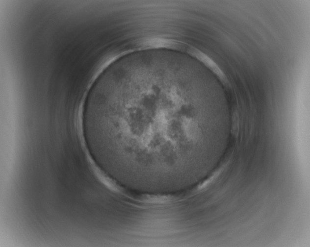 X0000115651039200911171438