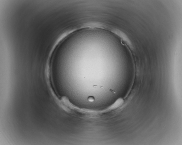 X0000115651040200911171438