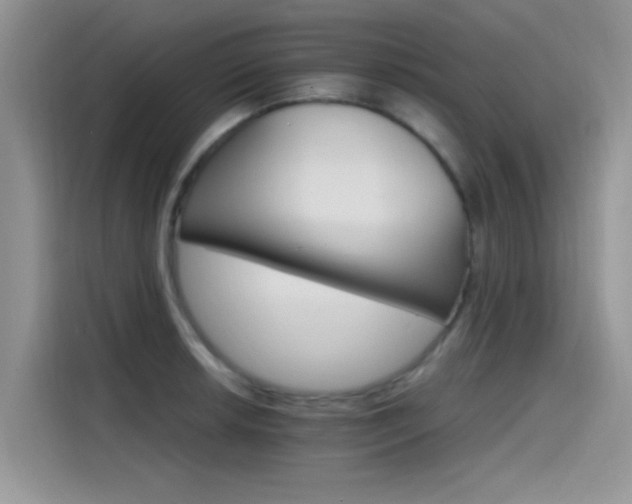 X0000115651042200911171438