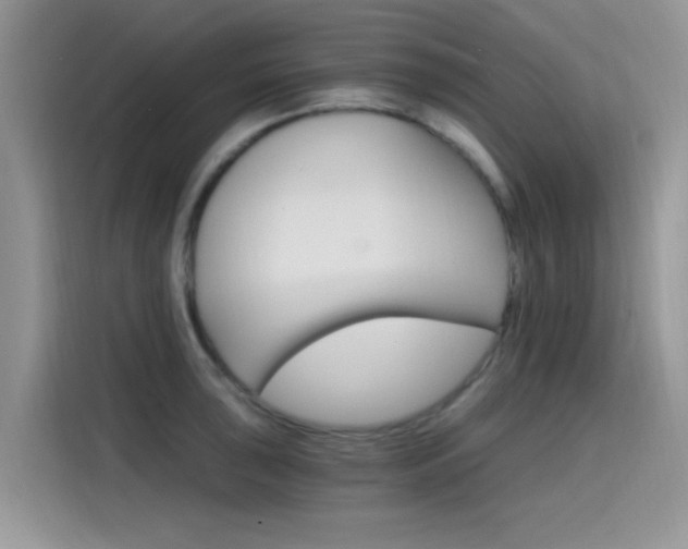 X0000115651043200911171438