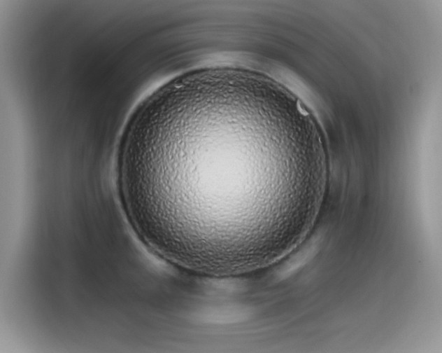 X0000115651045200911171438