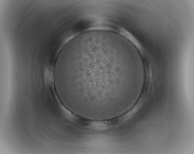 X0000115651049200911171438