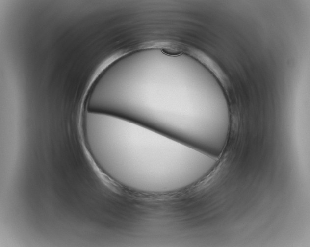 X0000115651050200911171438