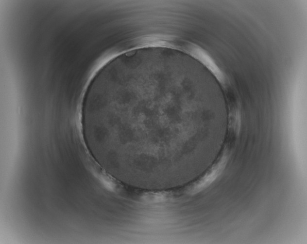 X0000115651051200911171438