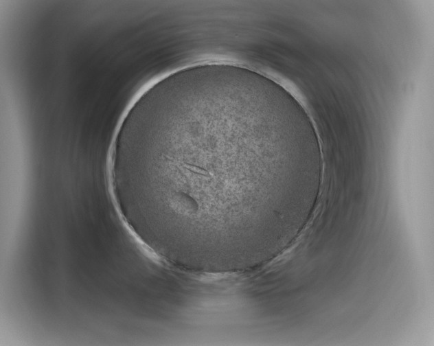 X0000115651056200911171439