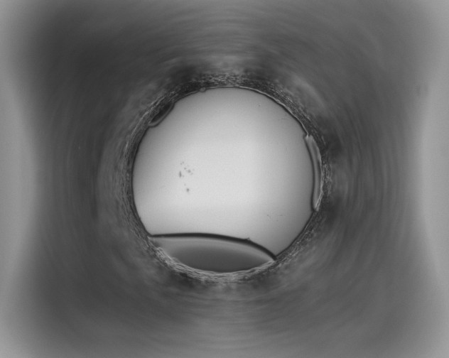 X0000115651057200911171438