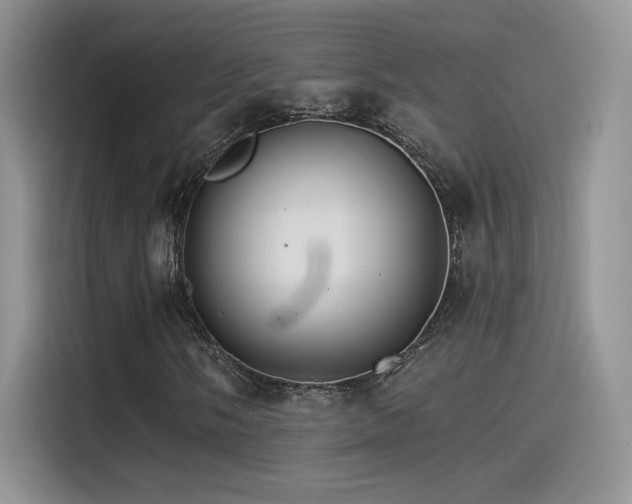 X0000115651058200911171438