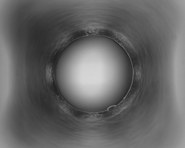 X0000115651060200911171438