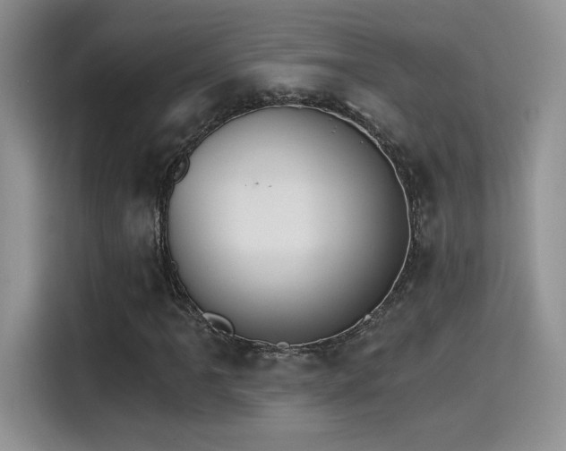 X0000115651061200911171438