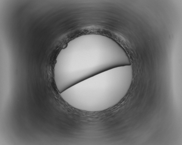 X0000115651062200911171438