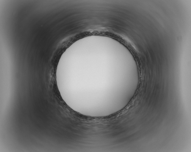 X0000115651063200911171438